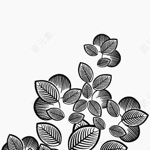 手绘黑白树叶植物图案