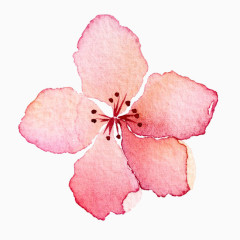 水彩手绘中国风桃花花瓣