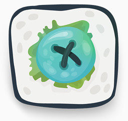 sushi_icons_by_kluke