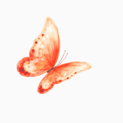 水彩蝴蝶