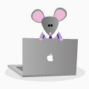 笔记本电脑电脑办公室的老鼠