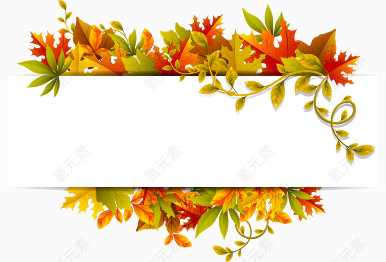 秋季枫叶标题栏