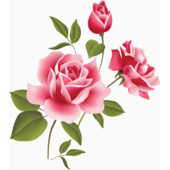 庆典花卉花卉图案素材 唯美玫瑰花