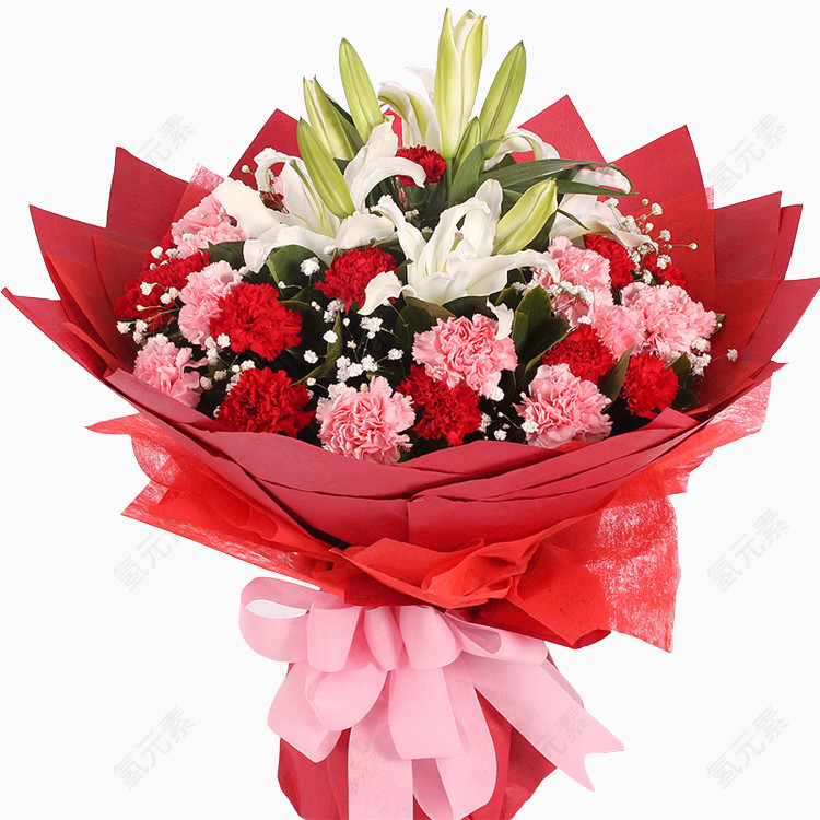 母亲节花卉素材红色康乃馨花卉花束