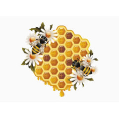 装饰图案蜜蜂与蜂蜜插画