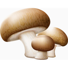 蘑菇素材