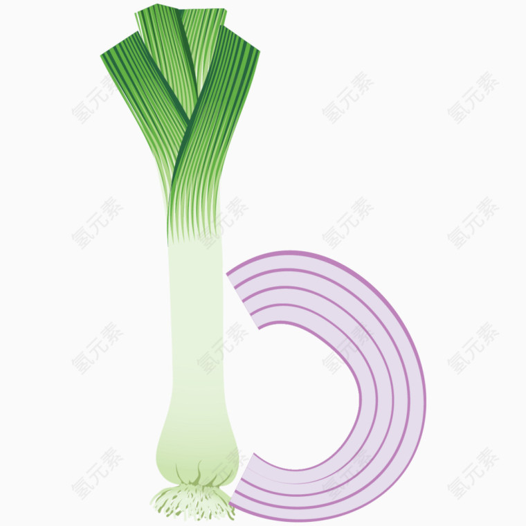 蔬菜英文字母b 
