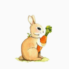 手绘抱萝卜的兔子