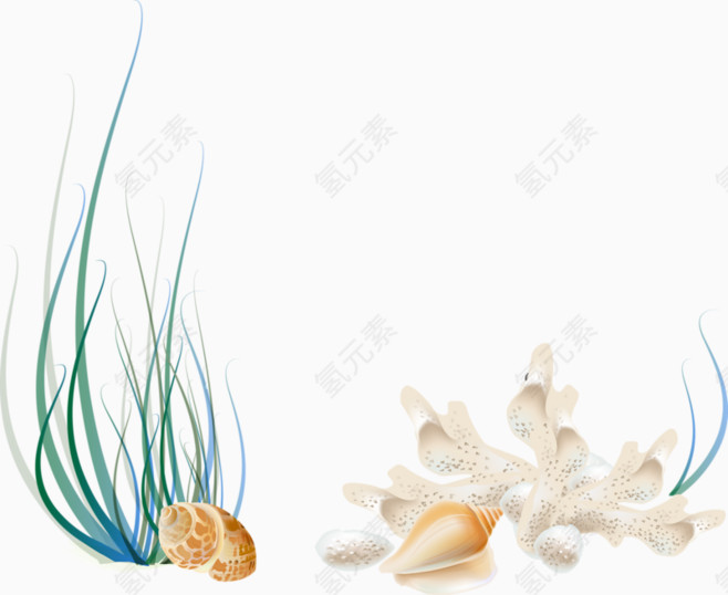 海螺水草