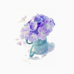 美丽牵牛花紫色花朵6