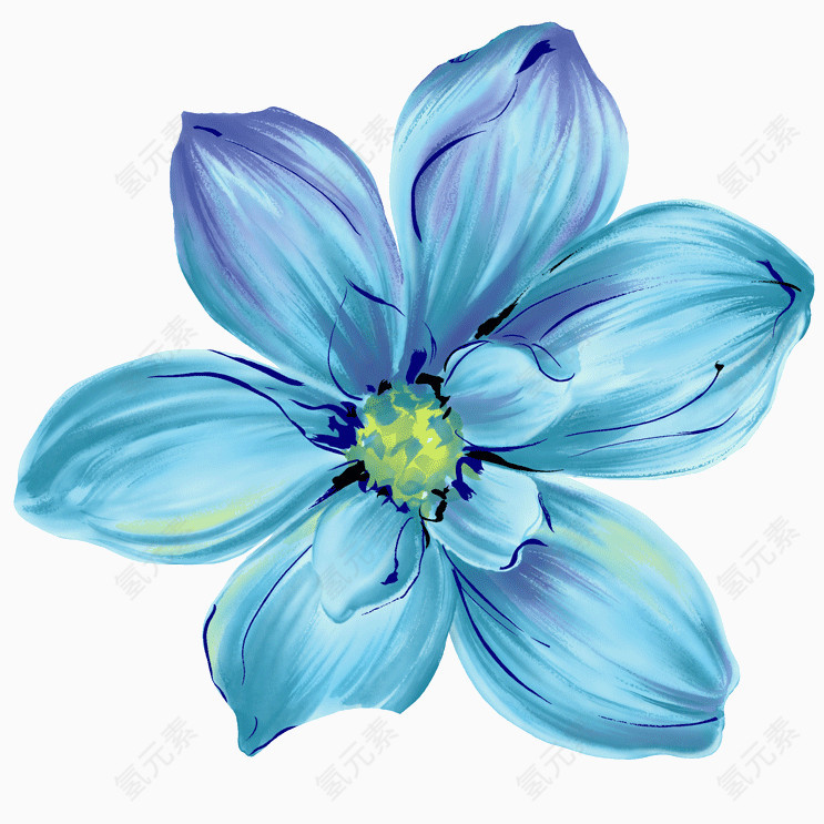蓝色花水彩花 