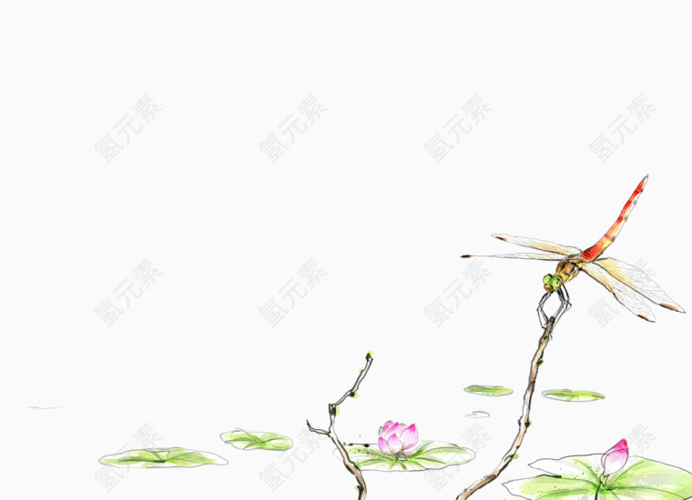 手绘水彩蜻蜓