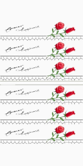 红色玫瑰花签名几何
