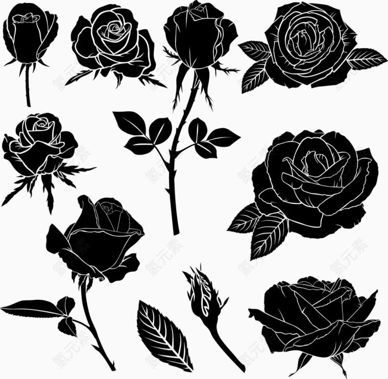 矢量装饰黑色rose