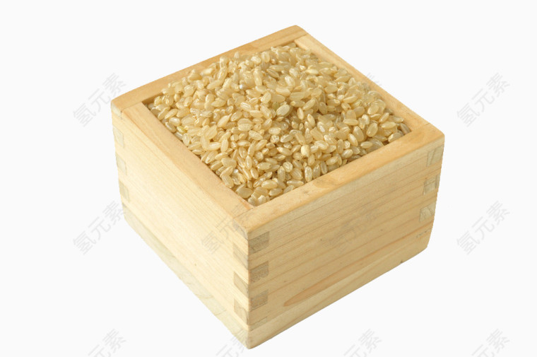 营养丰富的糙米矢量
