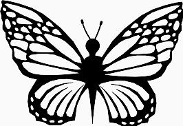 美味蝴蝶Butterfly-icons