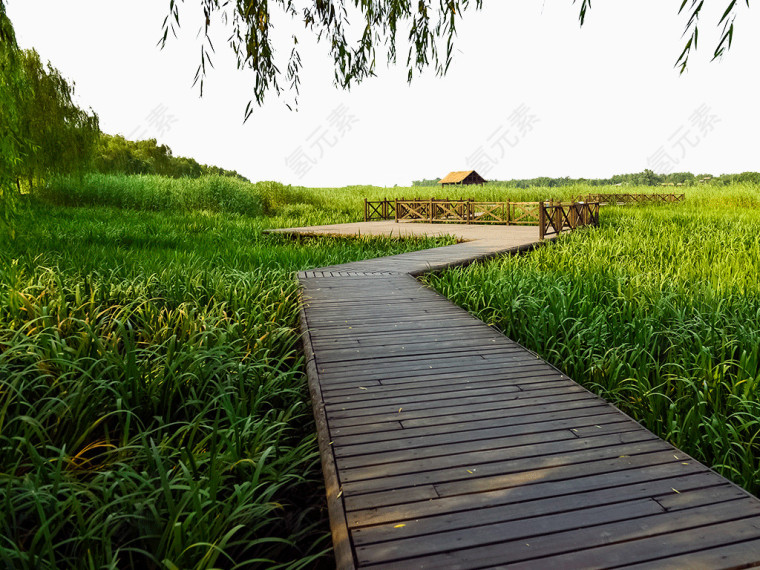 北京大运河森林公园景区