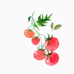 小清新简约水彩手绘一串西红柿