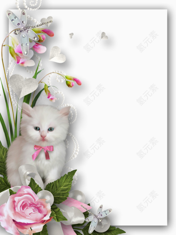 一只猫和植物花卉