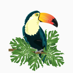 热带鸟 免费下载 动物  鸟类 树叶