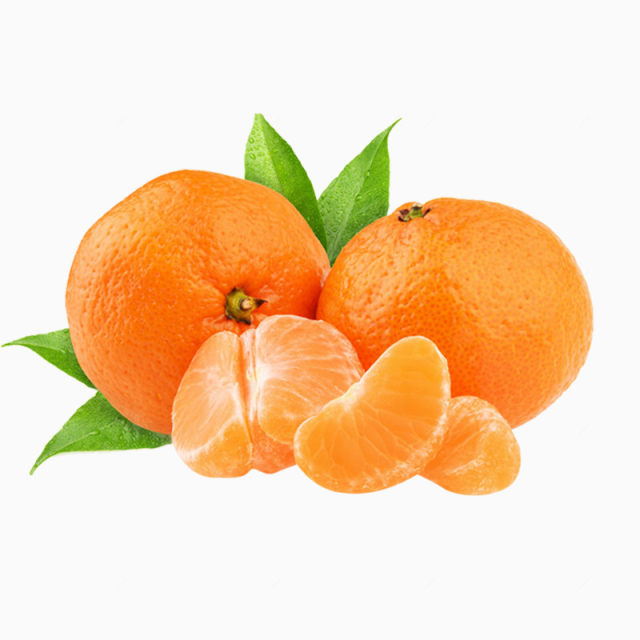 橘子下载