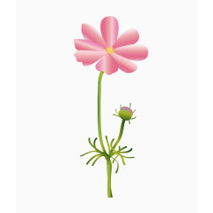 卡通绘制粉色花朵