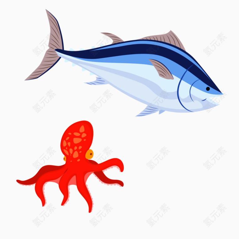 海洋生物