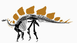 恐龙骨架手绘