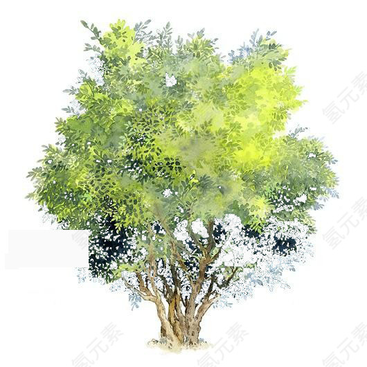 树木素材树木背景图片 水粉树木