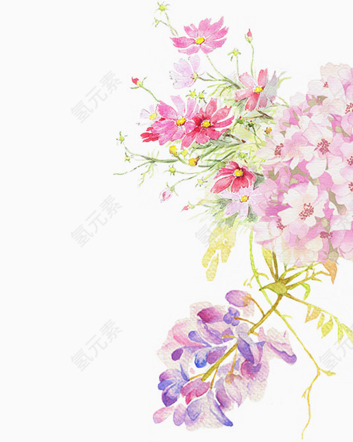 粉色花卉手绘插画