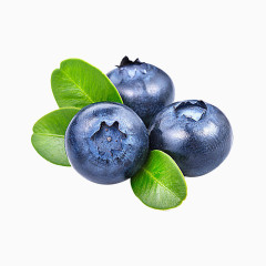 3个蓝莓紫色PNG元素