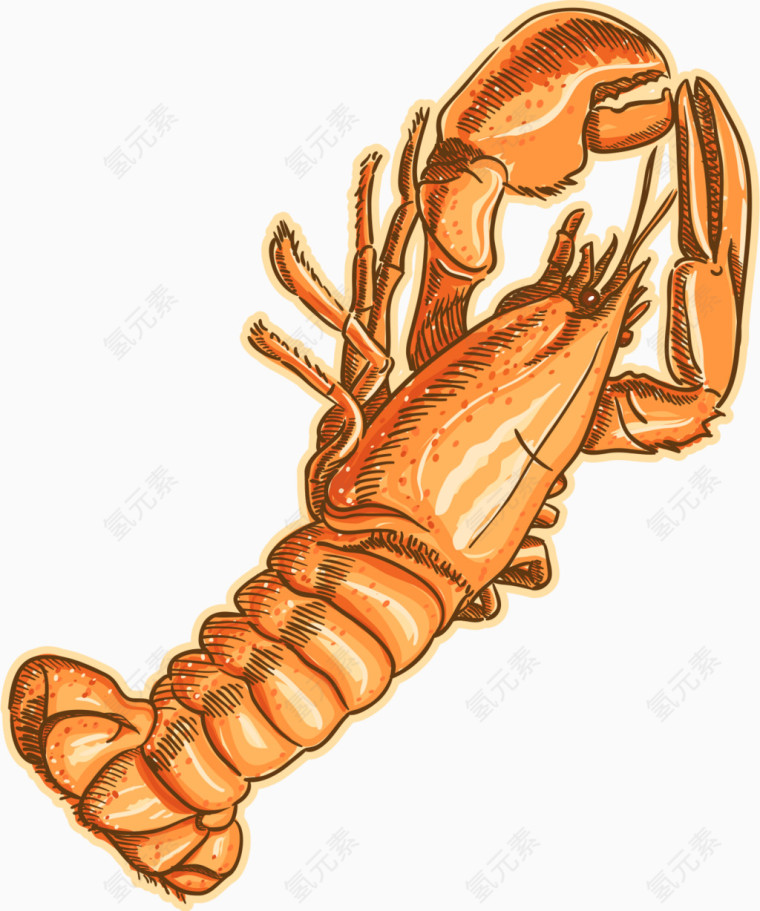 龙虾卡通手绘图标元素