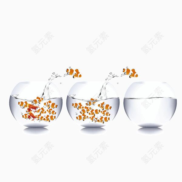 金鱼 鱼缸 圆形鱼缸 生活
