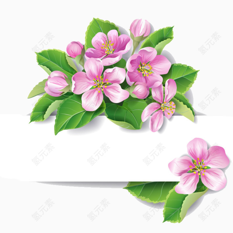 精美粉色花朵装饰卡片矢量素材