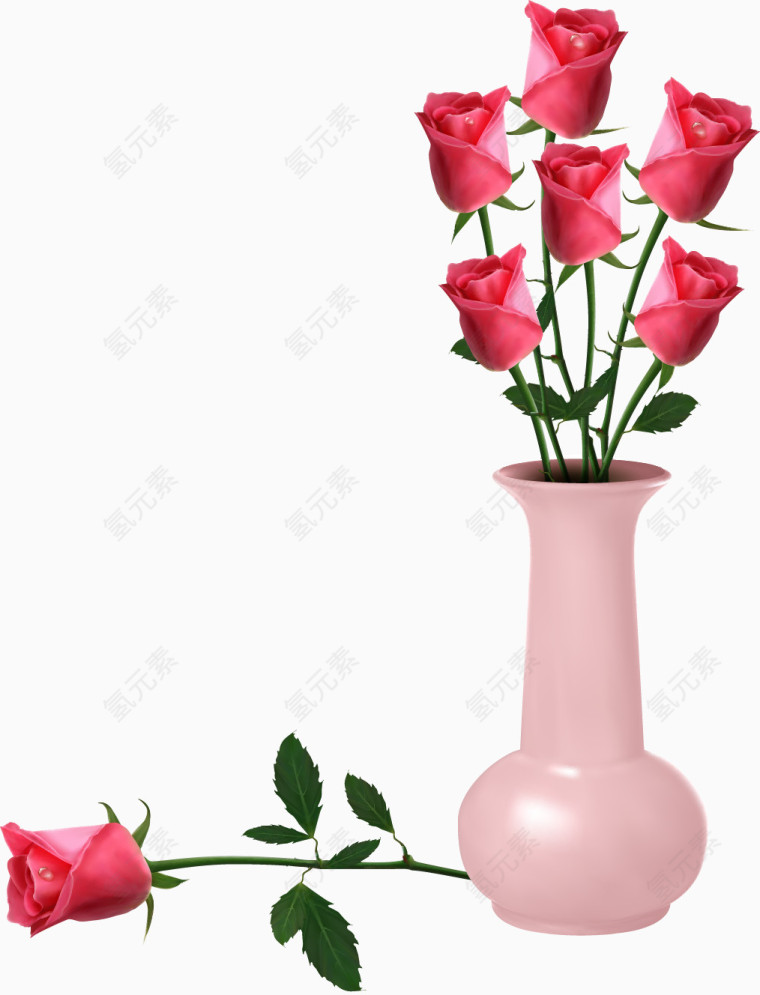 情人节高清红色玫瑰花植物