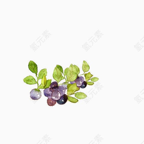小清新简约水彩手绘紫色葡萄