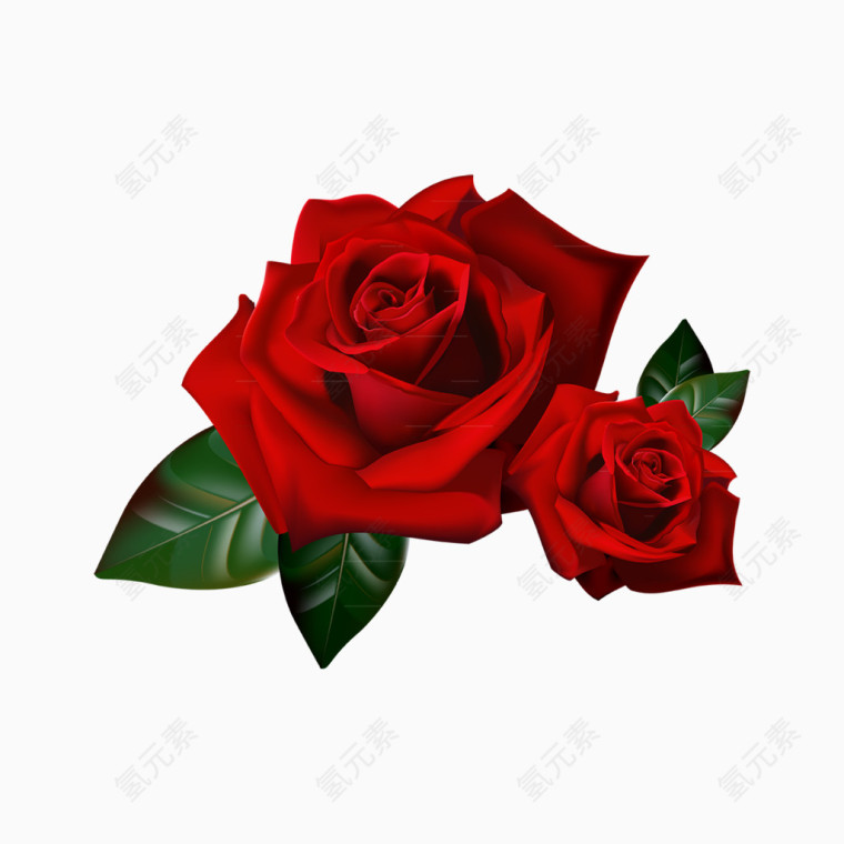 红玫瑰装饰