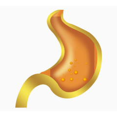 肠胃分层图