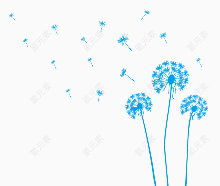 蒲公英花卉 蓝色花朵 蓝色蒲公英 漂浮
