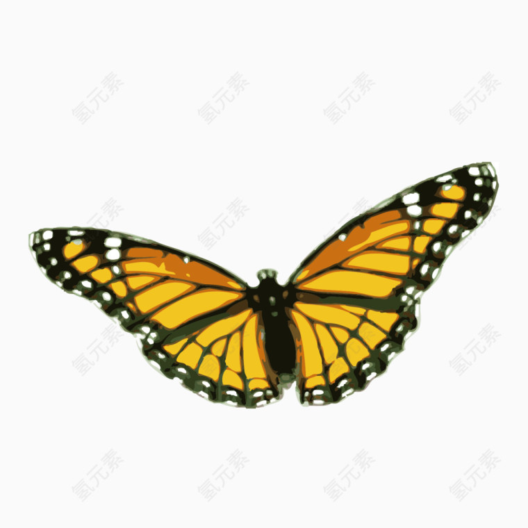 黄色展翅蝴蝶