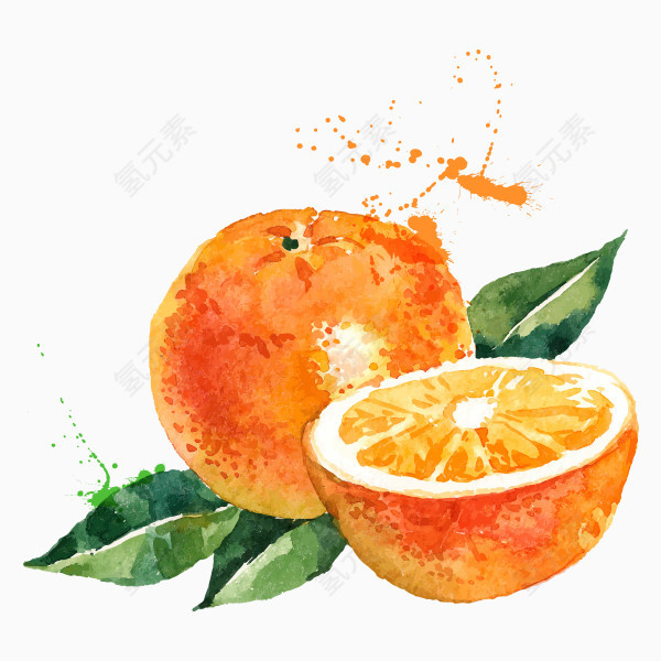 水彩手绘橙子png素材
