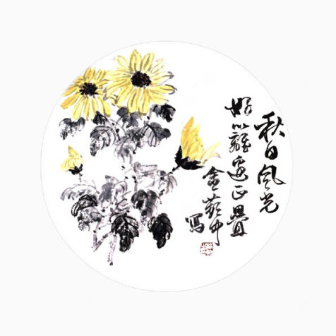 一幅黄色菊花图下载