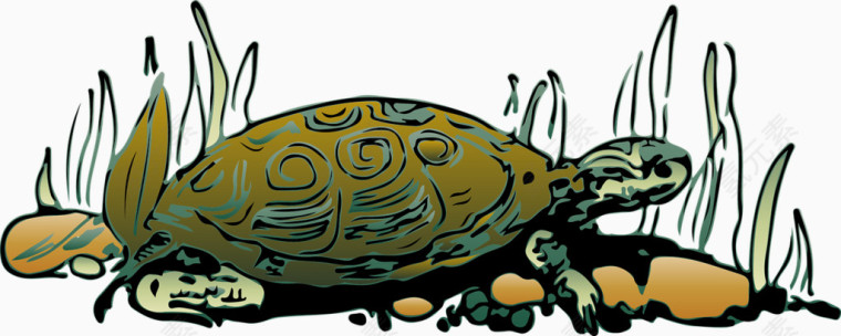 海底爬行的乌龟