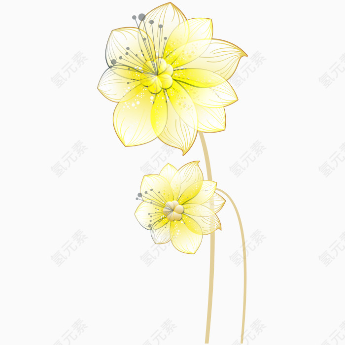 手绘黄色花朵素材