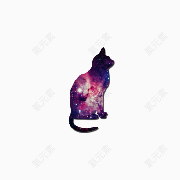 来自星星的猫