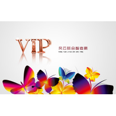 VIP模板