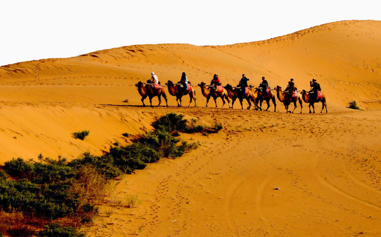 沙漠骆驼与人