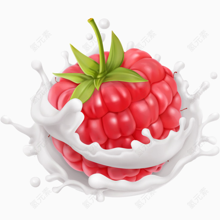 牛奶水果树莓
