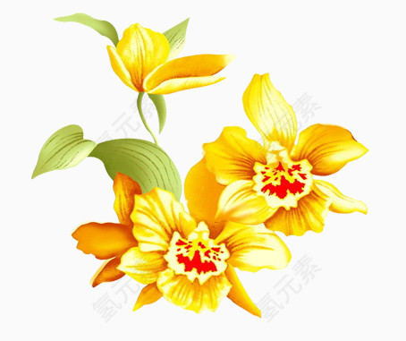黄色花卉