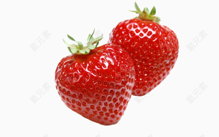 野草莓
